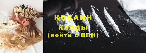 метадон Ельня