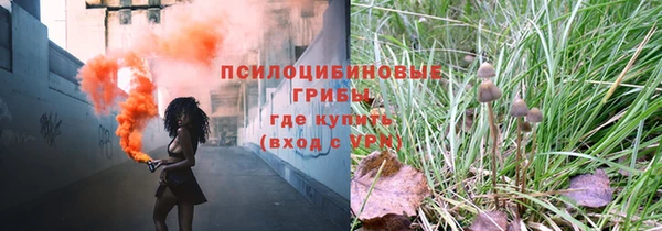 метадон Ельня