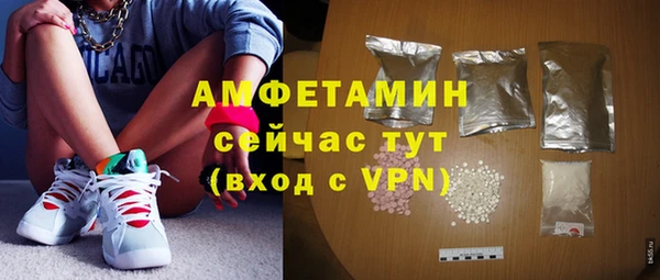 меф Дмитриев